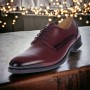 Pantofi barbati, eleganti, piele naturala, Bordeaux, ALEXANDER - 990VIS